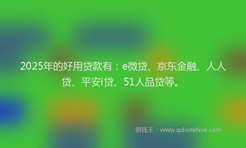 2025年的好用贷款有：e微贷、京东金融、人人贷、平安i贷、51人品贷等。