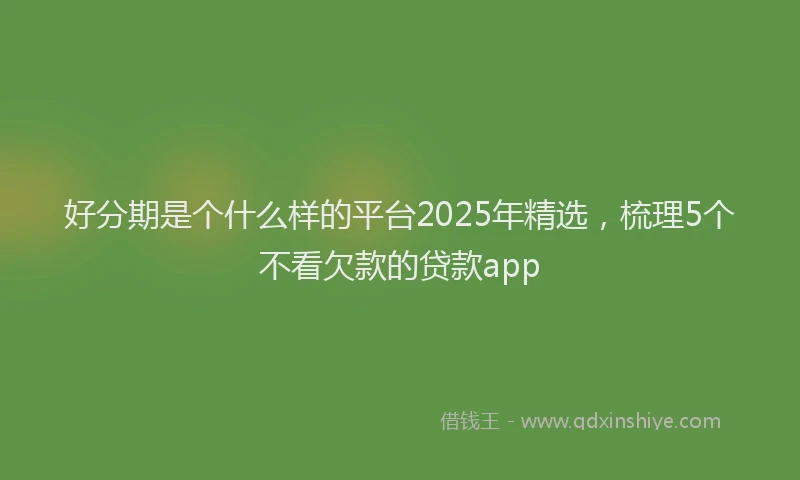 好分期是个什么样的平台2025年精选，梳理5个不看欠款的贷款app