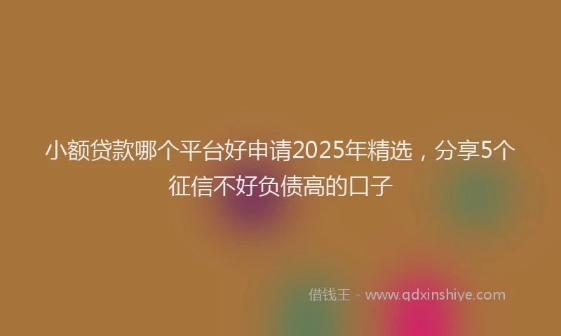 小额贷款哪个平台好申请2025年精选，分享5个征信不好负债高的口子