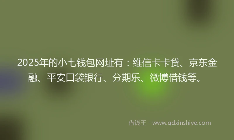2025年的小七钱包网址有：维信卡卡贷、京东金融、平安口袋银行、分期乐、微博借钱等。