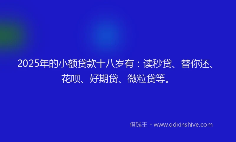 2025年的小额贷款十八岁有：读秒贷、替你还、花呗、好期贷、微粒贷等。