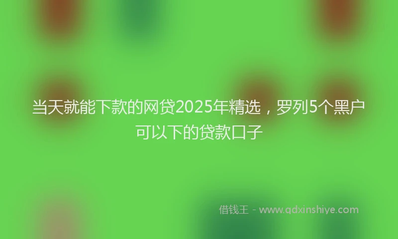 当天就能下款的网贷2025年精选，罗列5个黑户可以下的贷款口子