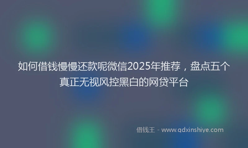 如何借钱慢慢还款呢微信2025年推荐，盘点五个真正无视风控黑白的网贷平台