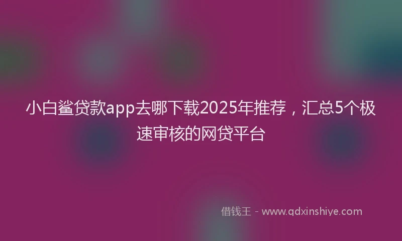 小白鲨贷款app去哪下载2025年推荐，汇总5个极速审核的网贷平台