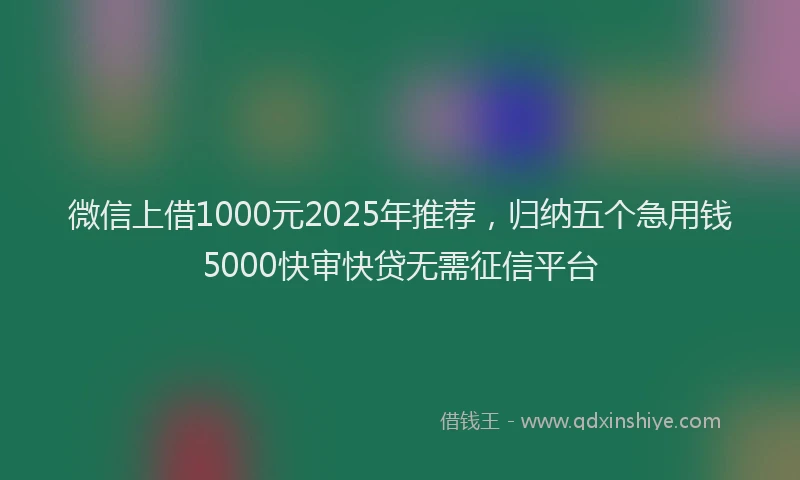 微信上借1000元2025年推荐，归纳五个急用钱5000快审快贷无需征信平台
