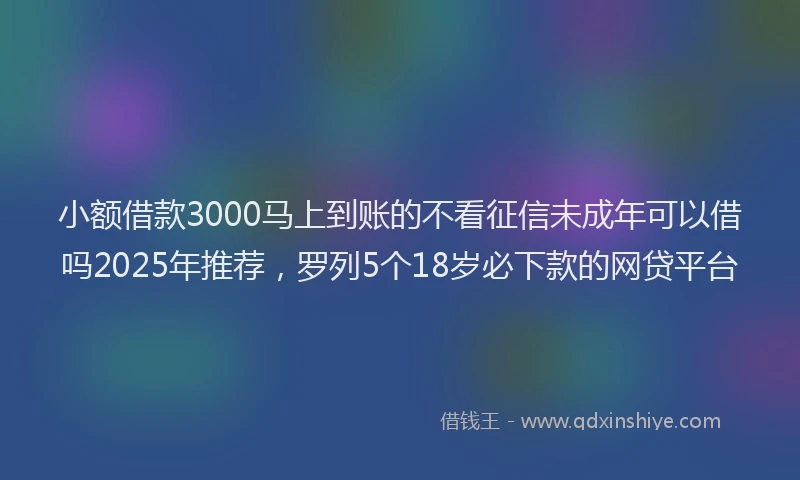 小额借款3000马上到账的不看征信未成年可以借吗2025年推荐，罗列5个18岁必下款的网贷平台