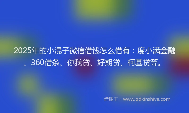 2025年的小混子微信借钱怎么借有：度小满金融、360借条、你我贷、好期贷、柯基贷等。