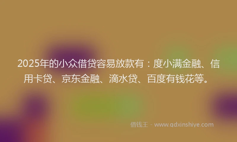 2025年的小众借贷容易放款有：度小满金融、信用卡贷、京东金融、滴水贷、百度有钱花等。
