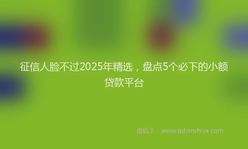 征信人脸不过2025年精选，盘点5个必下的小额贷款平台