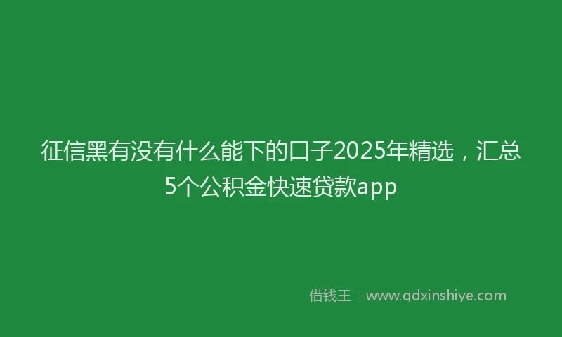 征信黑有没有什么能下的口子2025年精选，汇总5个公积金快速贷款app