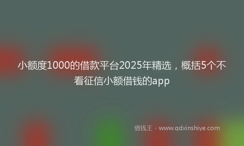 小额度1000的借款平台2025年精选，概括5个不看征信小额借钱的app