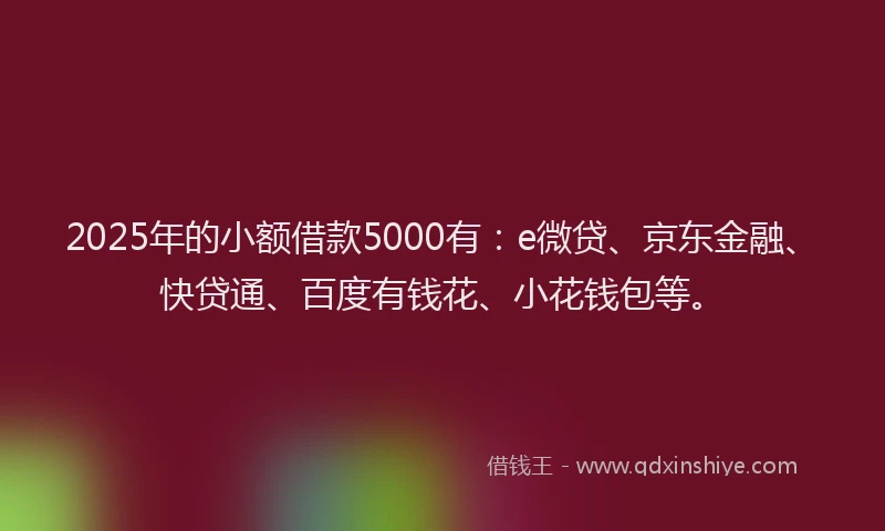 2025年的小额借款5000有：e微贷、京东金融、快贷通、百度有钱花、小花钱包等。