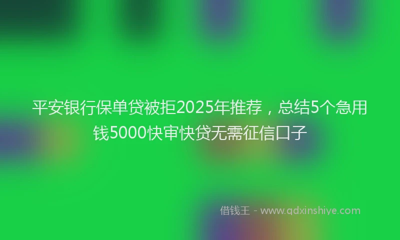 平安银行保单贷被拒2025年推荐，总结5个急用钱5000快审快贷无需征信口子