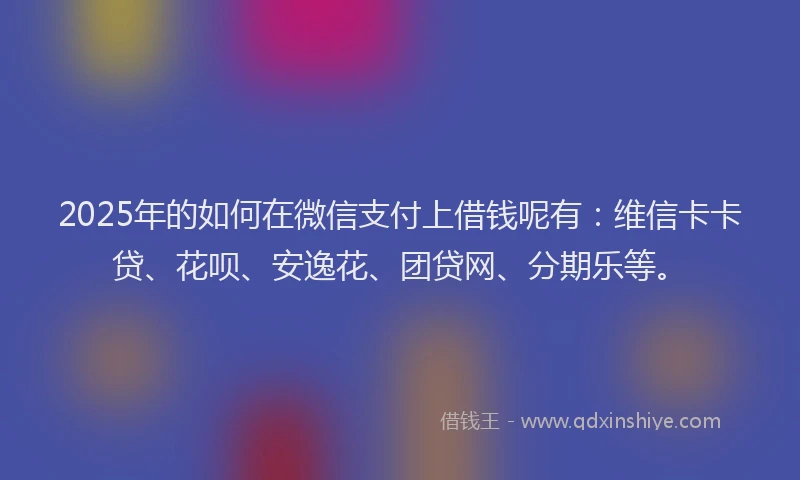 2025年的如何在微信支付上借钱呢有：维信卡卡贷、花呗、安逸花、团贷网、分期乐等。