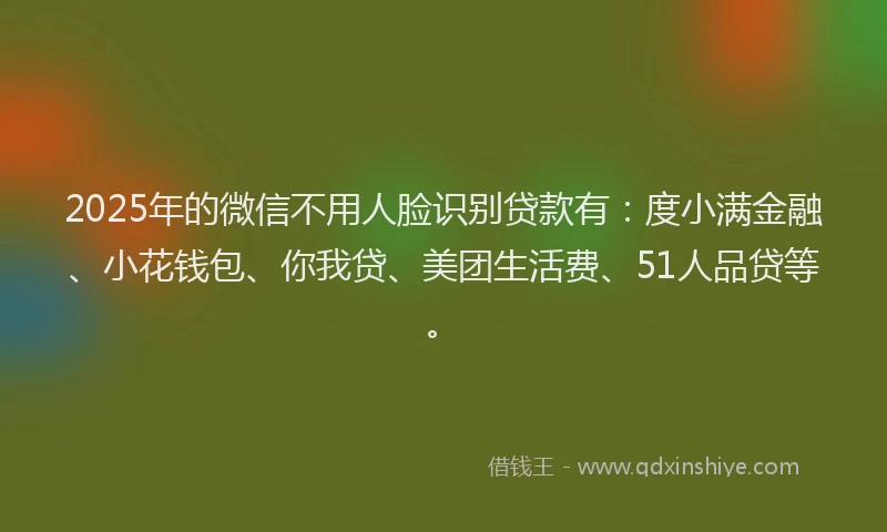 2025年的微信不用人脸识别贷款有：度小满金融、小花钱包、你我贷、美团生活费、51人品贷等。