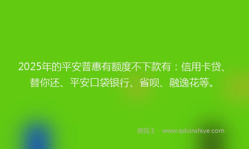 2025年的平安普惠有额度不下款有：信用卡贷、替你还、平安口袋银行、省呗、融逸花等。