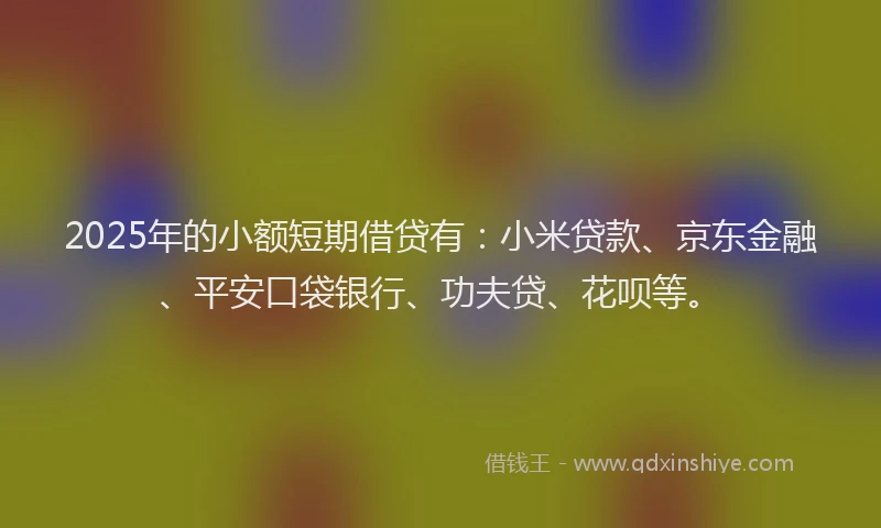 2025年的小额短期借贷有：小米贷款、京东金融、平安口袋银行、功夫贷、花呗等。