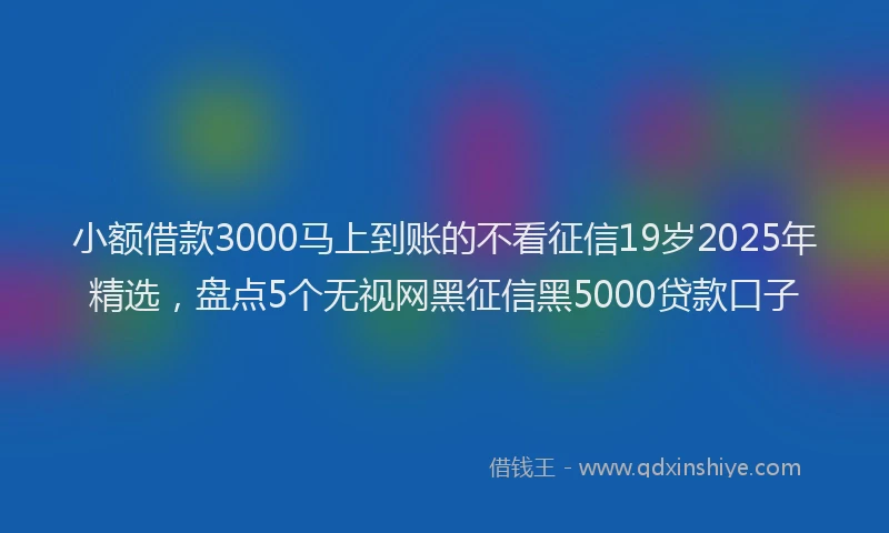 小额借款3000马上到账的不看征信19岁2025年精选，盘点5个无视网黑征信黑5000贷款口子