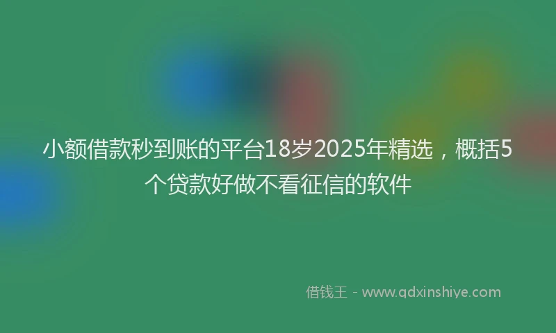 小额借款秒到账的平台18岁2025年精选，概括5个贷款好做不看征信的软件