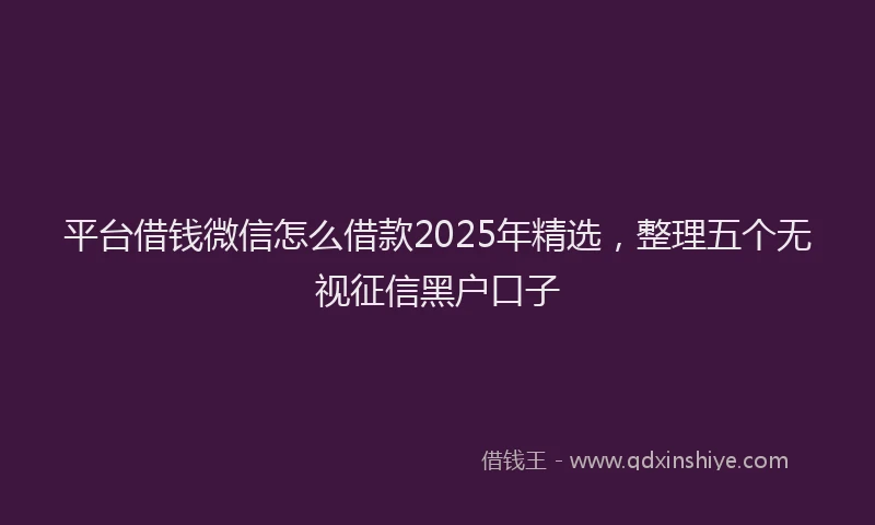 平台借钱微信怎么借款2025年精选，整理五个无视征信黑户口子