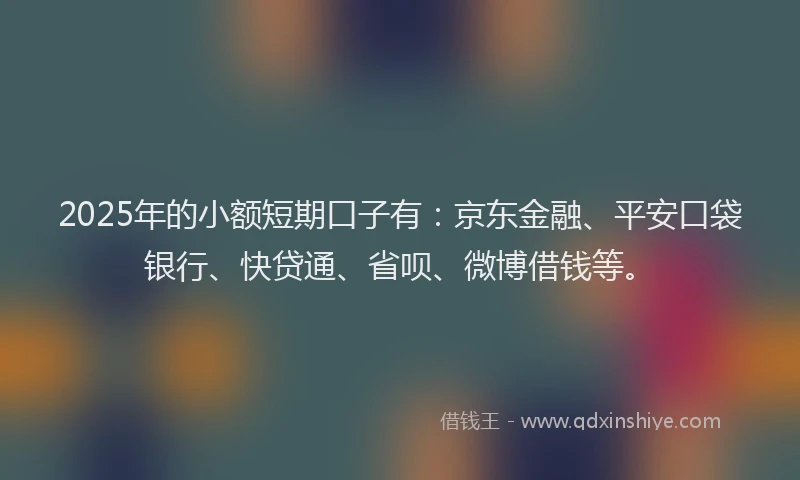 2025年的小额短期口子有：京东金融、平安口袋银行、快贷通、省呗、微博借钱等。