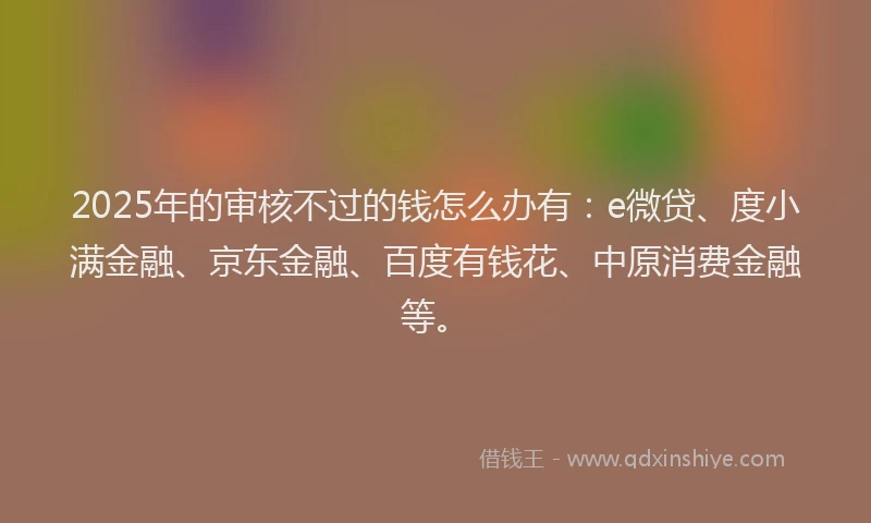 2025年的审核不过的钱怎么办有：e微贷、度小满金融、京东金融、百度有钱花、中原消费金融等。