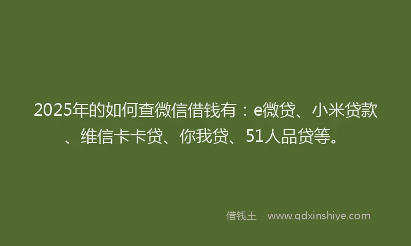 2025年的如何查微信借钱有：e微贷、小米贷款、维信卡卡贷、你我贷、51人品贷等。