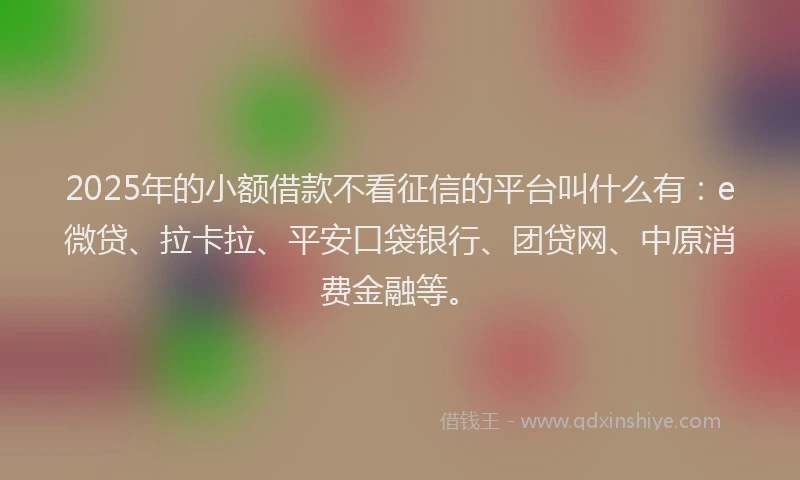 2025年的小额借款不看征信的平台叫什么有：e微贷、拉卡拉、平安口袋银行、团贷网、中原消费金融等。