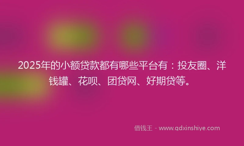 2025年的小额贷款都有哪些平台有：投友圈、洋钱罐、花呗、团贷网、好期贷等。