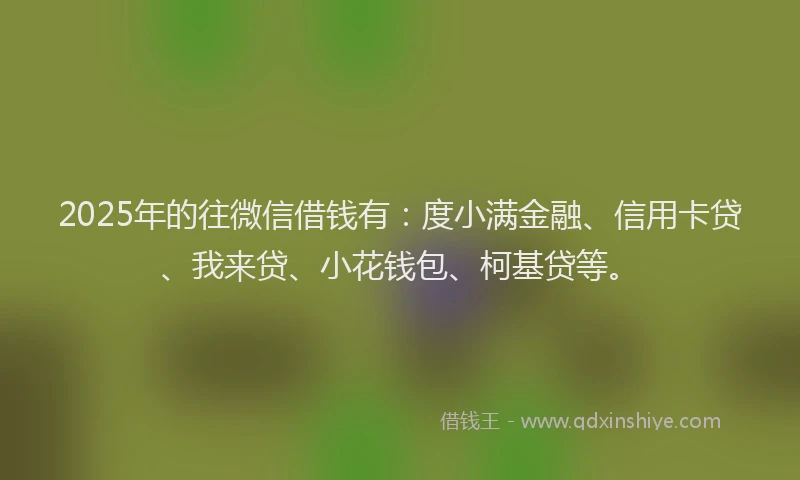 2025年的往微信借钱有：度小满金融、信用卡贷、我来贷、小花钱包、柯基贷等。
