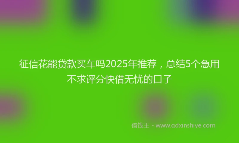 征信花能贷款买车吗2025年推荐，总结5个急用不求评分快借无忧的口子