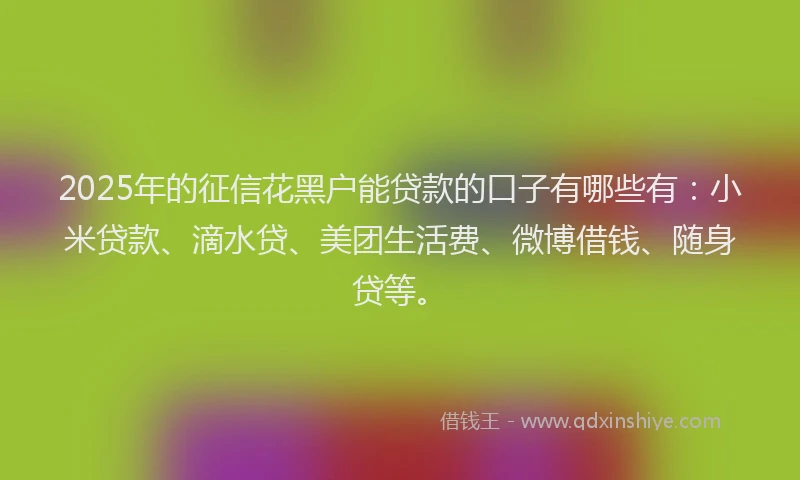 2025年的征信花黑户能贷款的口子有哪些有：小米贷款、滴水贷、美团生活费、微博借钱、随身贷等。