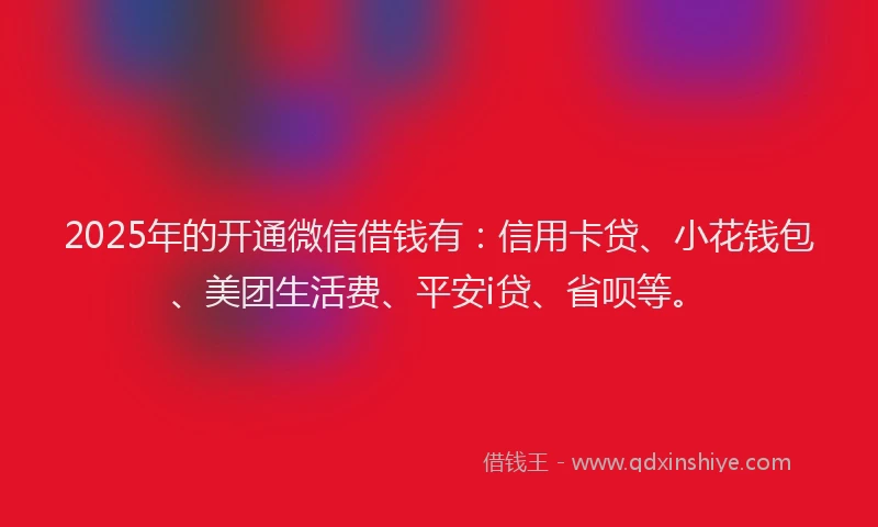 2025年的开通微信借钱有：信用卡贷、小花钱包、美团生活费、平安i贷、省呗等。