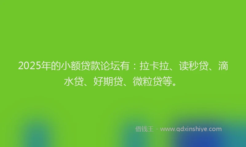 2025年的小额贷款论坛有：拉卡拉、读秒贷、滴水贷、好期贷、微粒贷等。