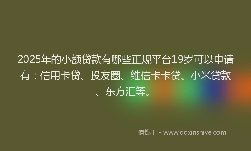 2025年的小额贷款有哪些正规平台19岁可以申请有：信用卡贷、投友圈、维信卡卡贷、小米贷款、东方汇等。