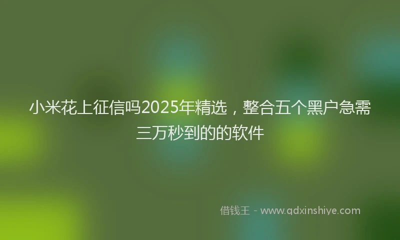 小米花上征信吗2025年精选，整合五个黑户急需三万秒到的的软件