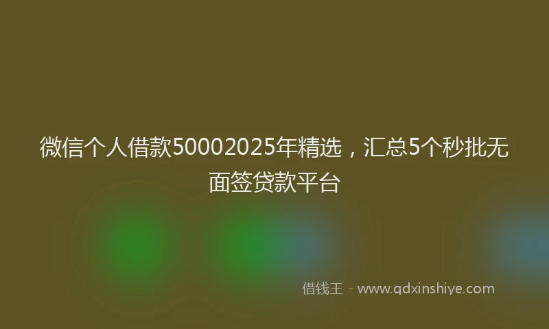 微信个人借款50002025年精选，汇总5个秒批无面签贷款平台