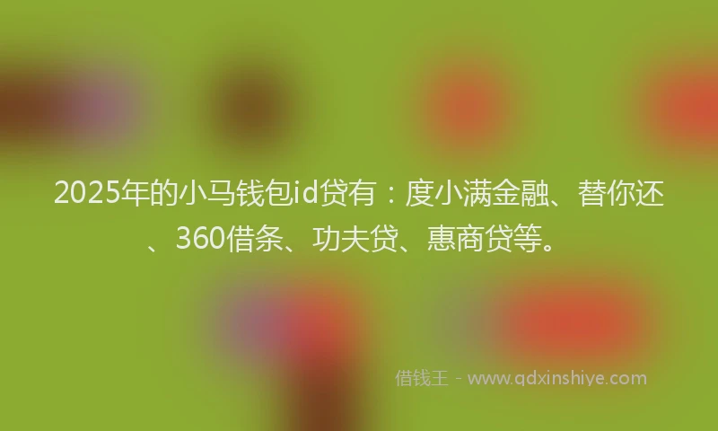 2025年的小马钱包id贷有：度小满金融、替你还、360借条、功夫贷、惠商贷等。