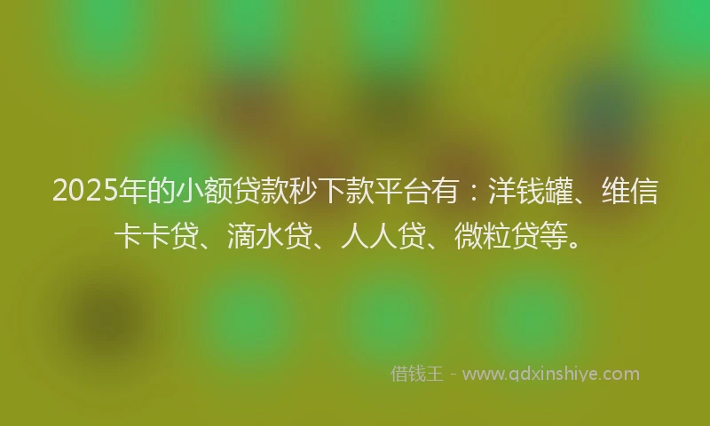 2025年的小额贷款秒下款平台有：洋钱罐、维信卡卡贷、滴水贷、人人贷、微粒贷等。