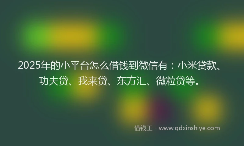 2025年的小平台怎么借钱到微信有：小米贷款、功夫贷、我来贷、东方汇、微粒贷等。