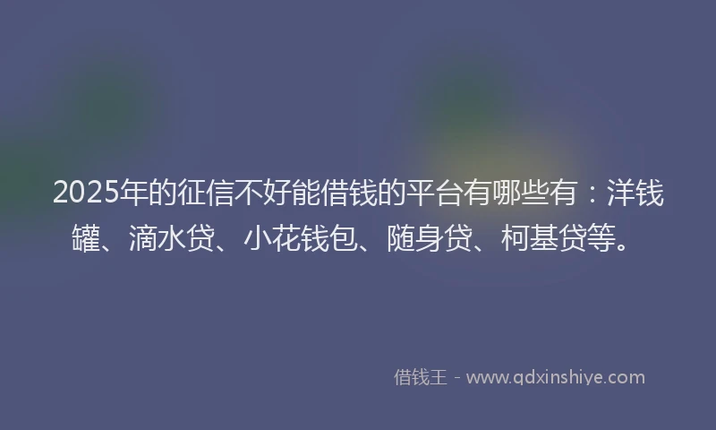 2025年的征信不好能借钱的平台有哪些有：洋钱罐、滴水贷、小花钱包、随身贷、柯基贷等。