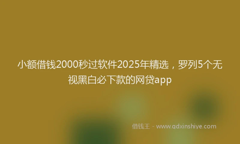 小额借钱2000秒过软件2025年精选，罗列5个无视黑白必下款的网贷app