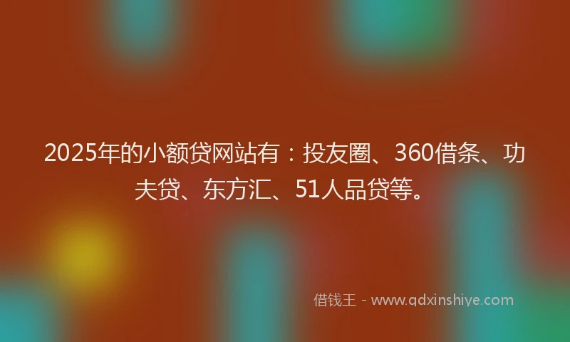 2025年的小额贷网站有：投友圈、360借条、功夫贷、东方汇、51人品贷等。
