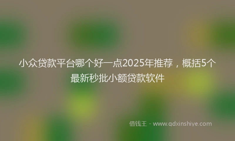 小众贷款平台哪个好一点2025年推荐，概括5个最新秒批小额贷款软件