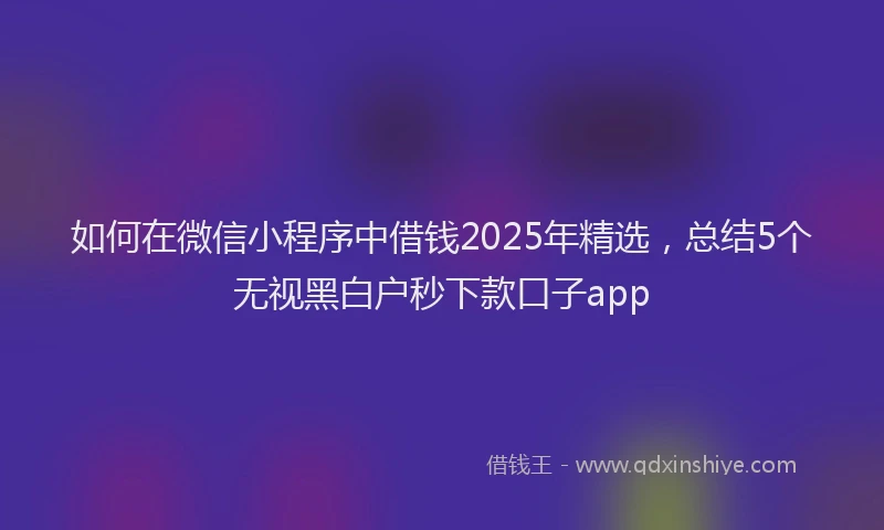如何在微信小程序中借钱2025年精选，总结5个无视黑白户秒下款口子app