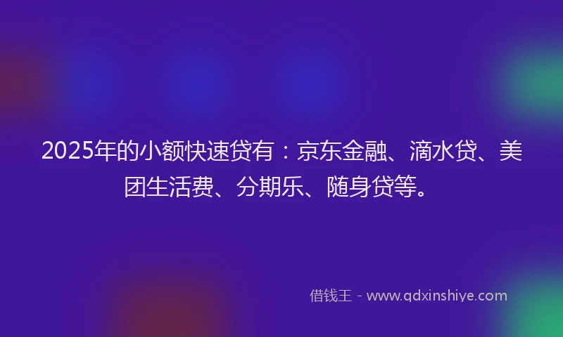 2025年的小额快速贷有：京东金融、滴水贷、美团生活费、分期乐、随身贷等。