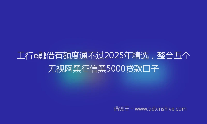 工行e融借有额度通不过2025年精选，整合五个无视网黑征信黑5000贷款口子