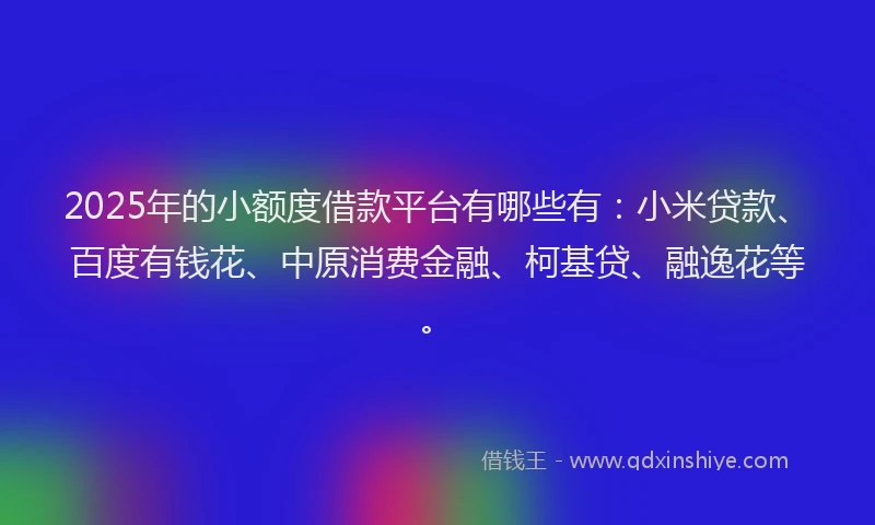 2025年的小额度借款平台有哪些有：小米贷款、百度有钱花、中原消费金融、柯基贷、融逸花等。