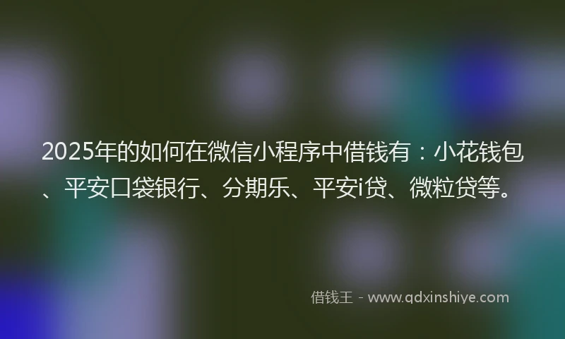 2025年的如何在微信小程序中借钱有：小花钱包、平安口袋银行、分期乐、平安i贷、微粒贷等。