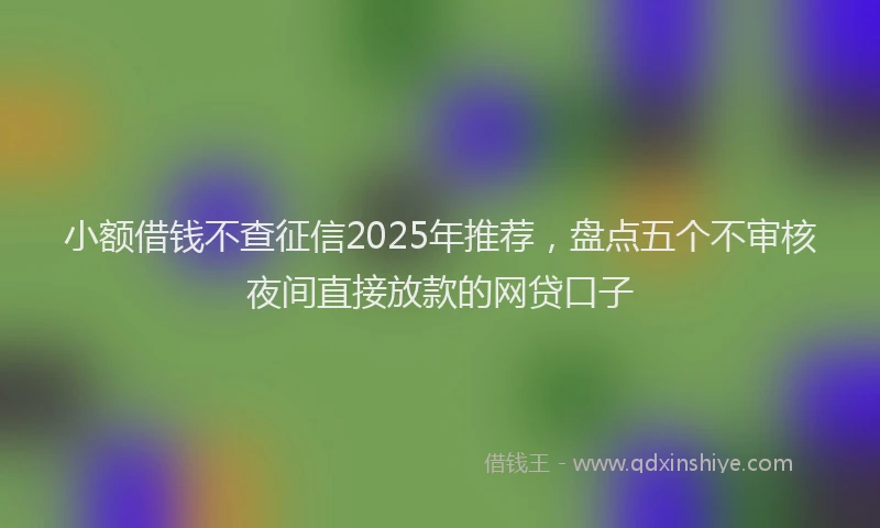 小额借钱不查征信2025年推荐，盘点五个不审核夜间直接放款的网贷口子
